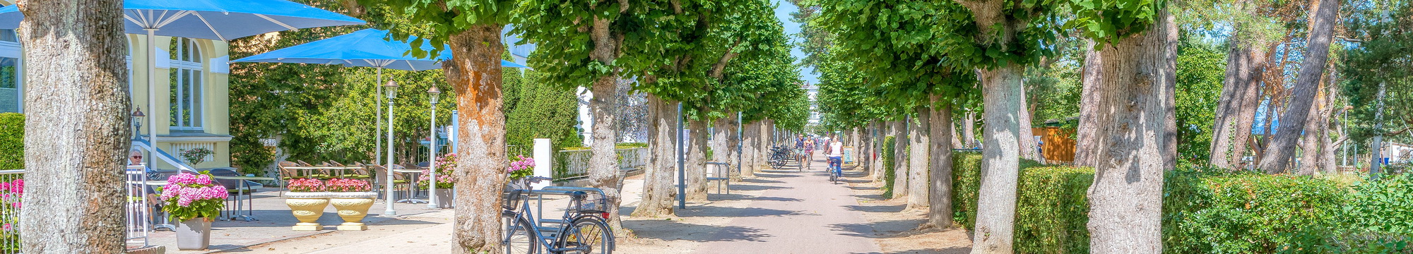 Kamminke Urlaub